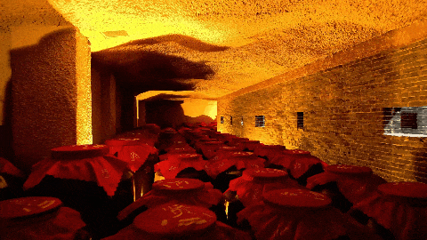 1721633031155613.gif 酒窖5.gif